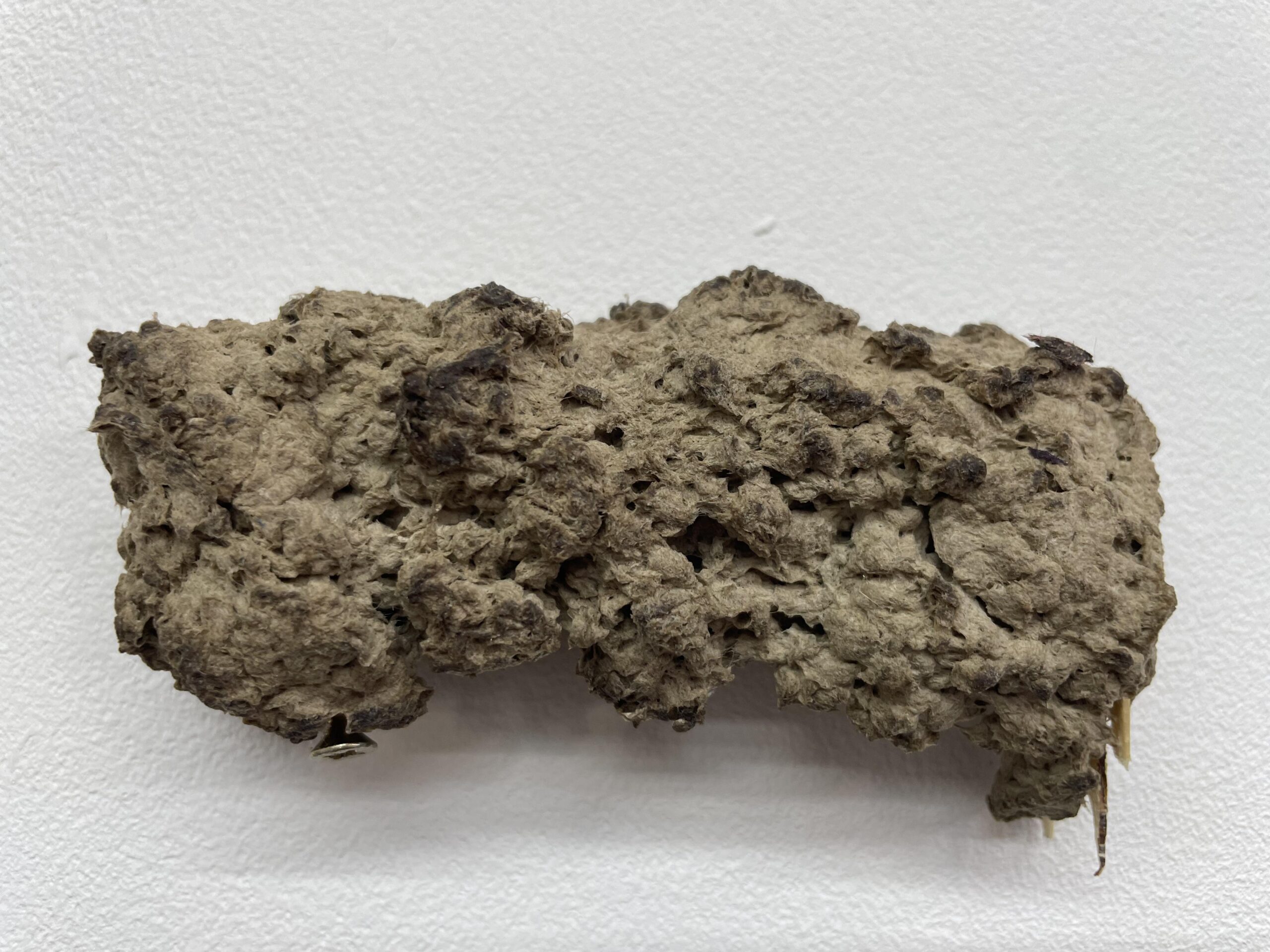 Greylag - A piece by Jack Brook (@jackoorb) - London Artist